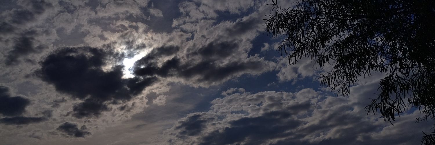 Siluu_'s profile banner image