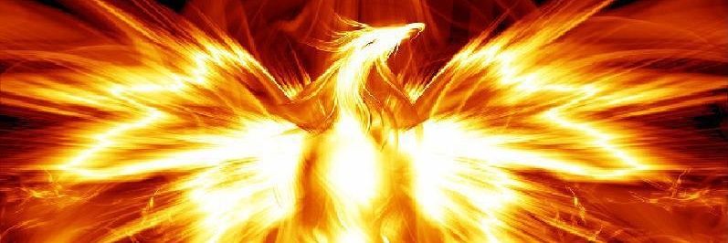 ferylltes's profile banner image