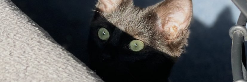 leadaryldixon's profile banner image