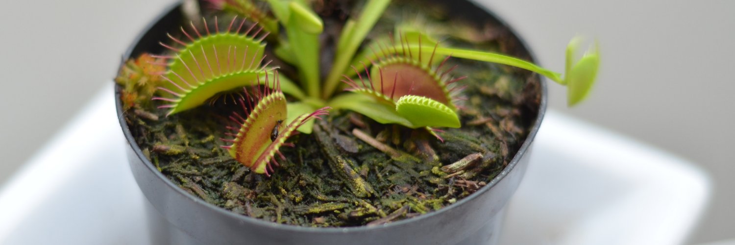 Christian-P Heimbach banner