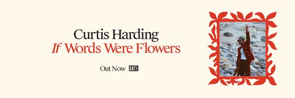 Curtis_Harding Profile Banner