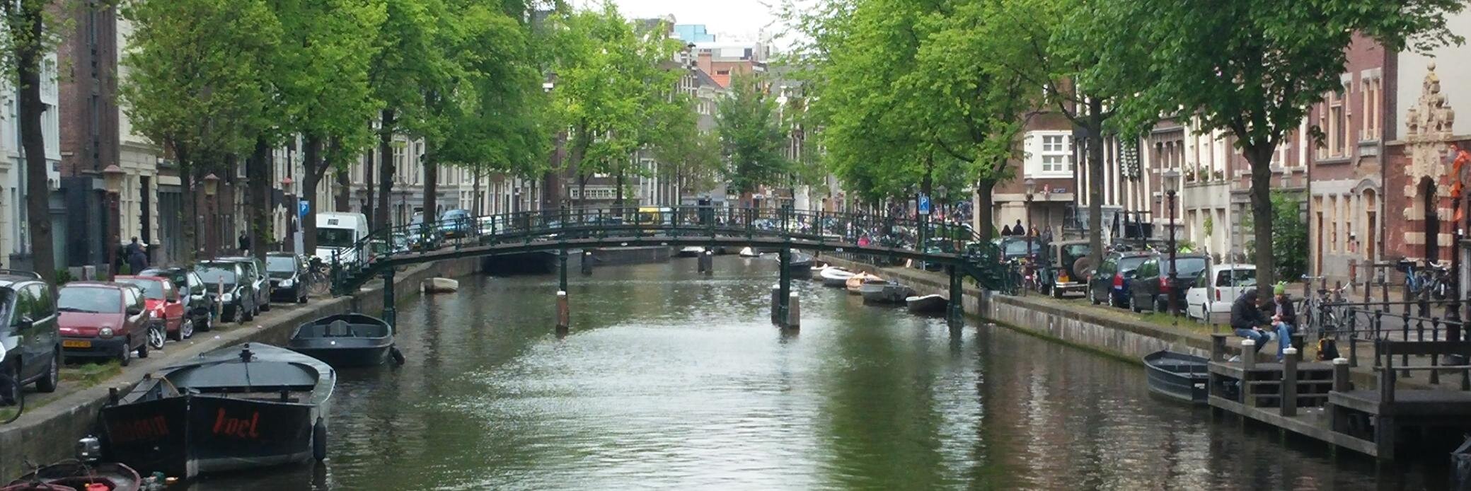 sara perea perez banner