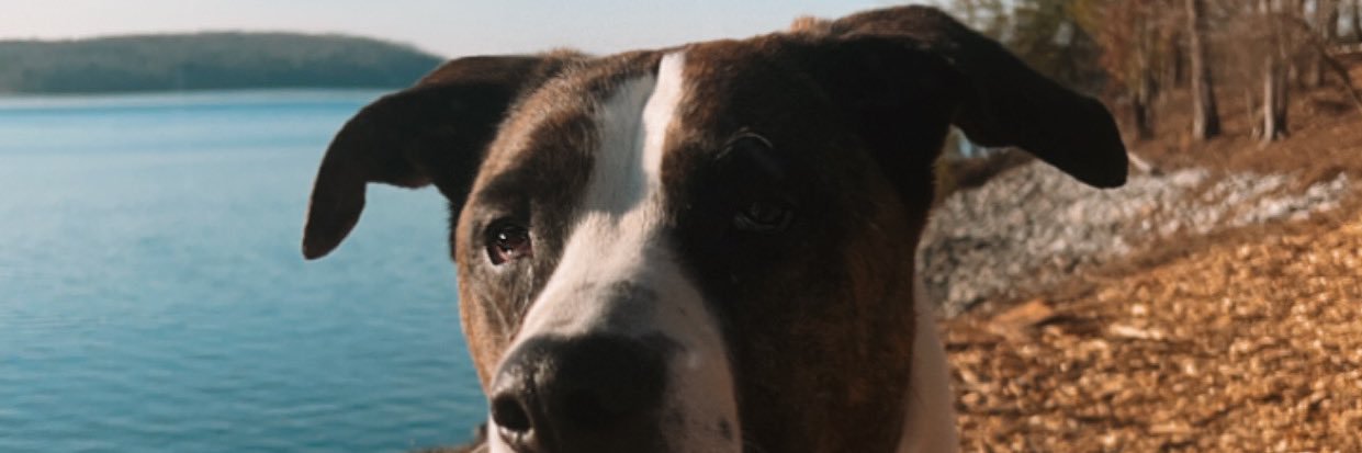 maddyymcc_'s profile banner image