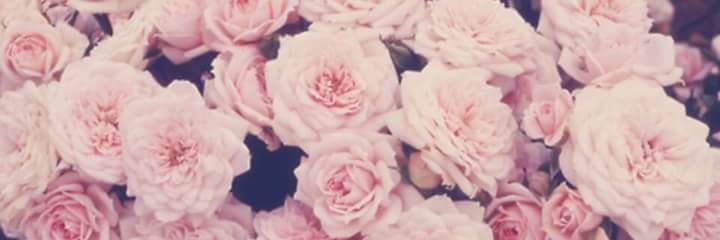 Rlits1's profile banner image