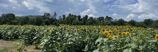 thejoyofebony Profile Banner