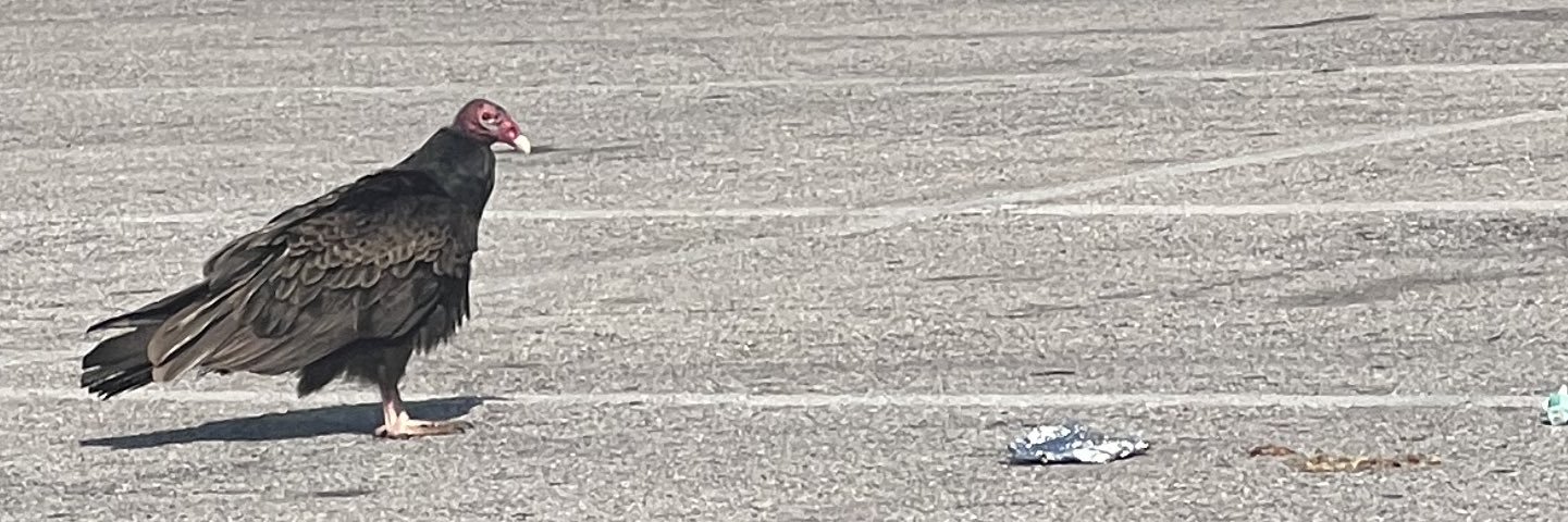 thr33chi's profile banner image