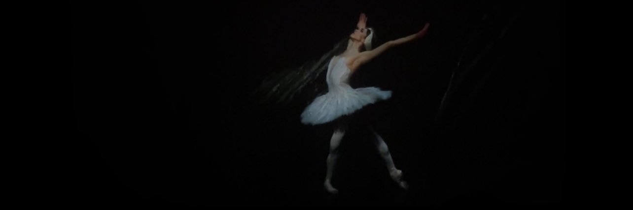 lvandecamp's profile banner image