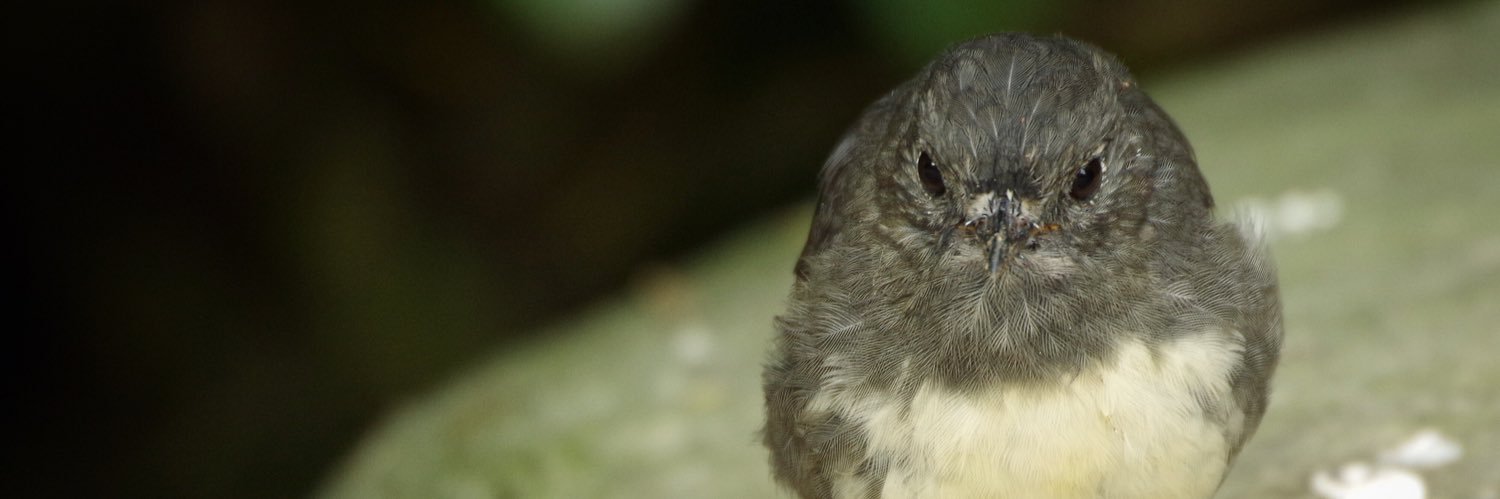 ConserveEcology's profile banner image