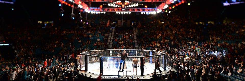 MMA.PL banner