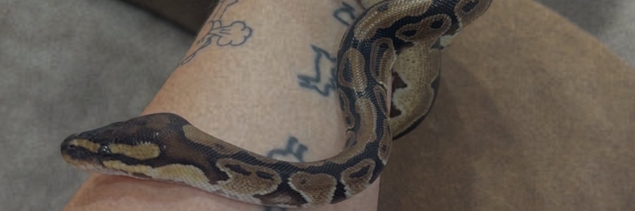 logan_chericee's profile banner image