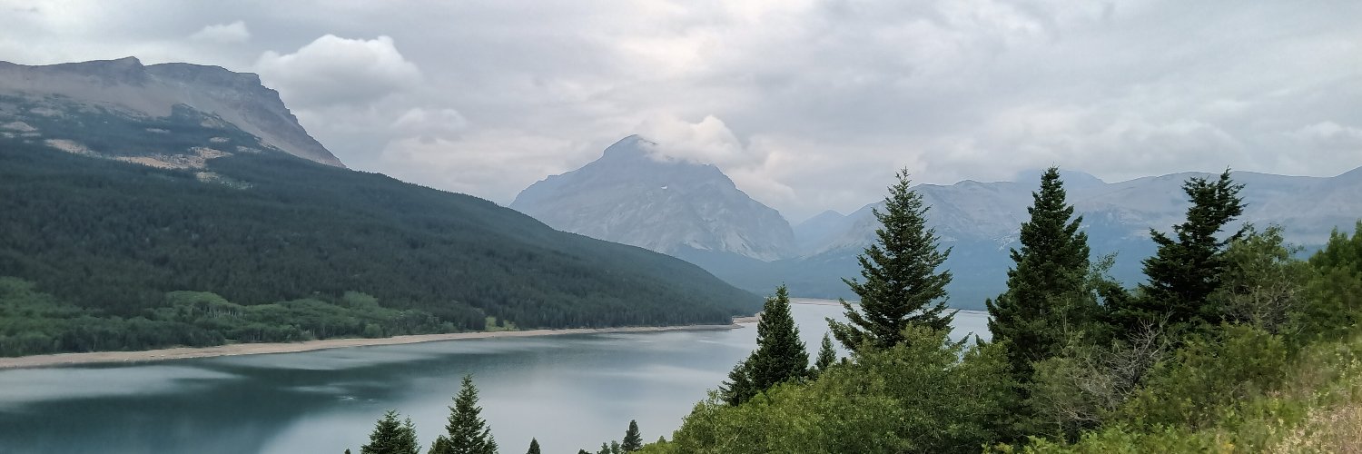 RuthGuest's profile banner image