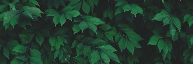rveuxgi's profile banner image