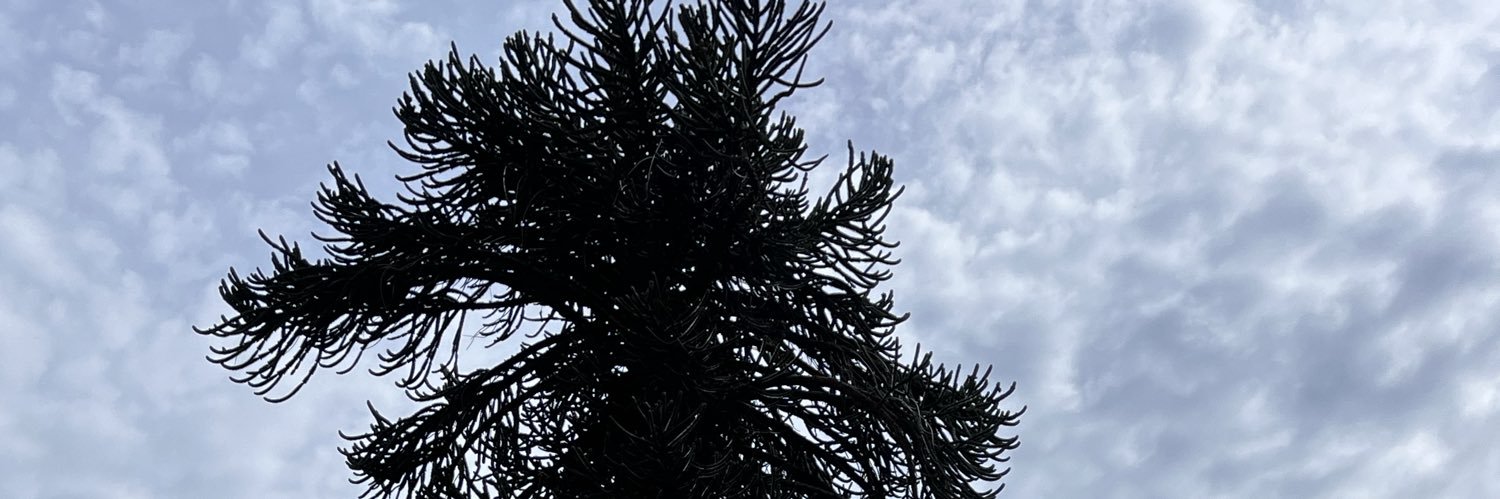 Huallipulli's profile banner image