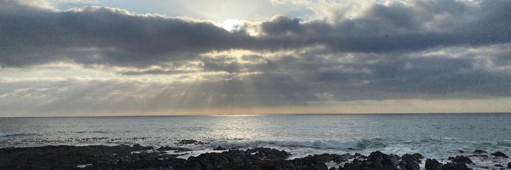 Emma Schuster banner