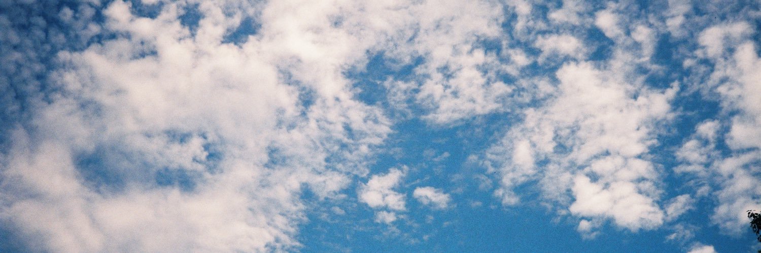 scdnnams's profile banner image