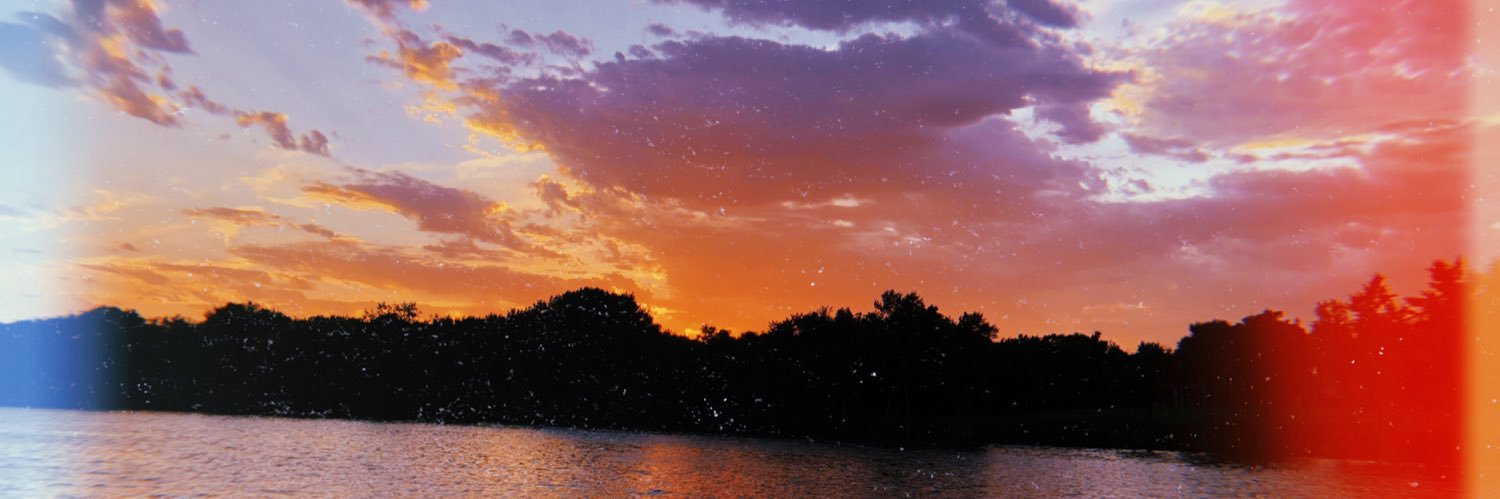 carterose's profile banner image