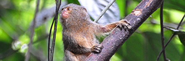 ben_r_hoffman Profile Banner