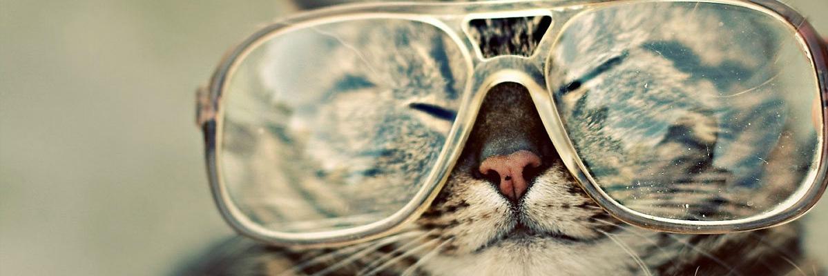yalme's profile banner image