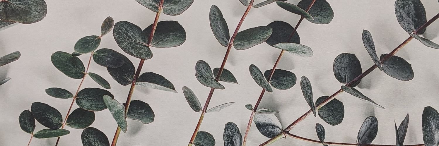 taybeann's profile banner image