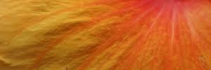 ab_she21's profile banner image