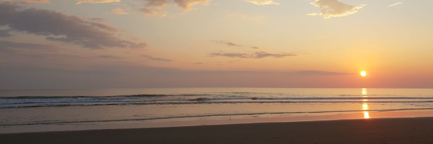 hannahcopping's profile banner image