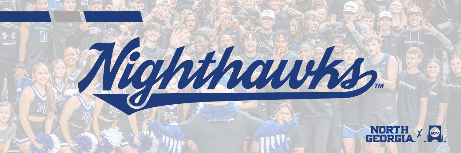 UNG Men's Basketball banner