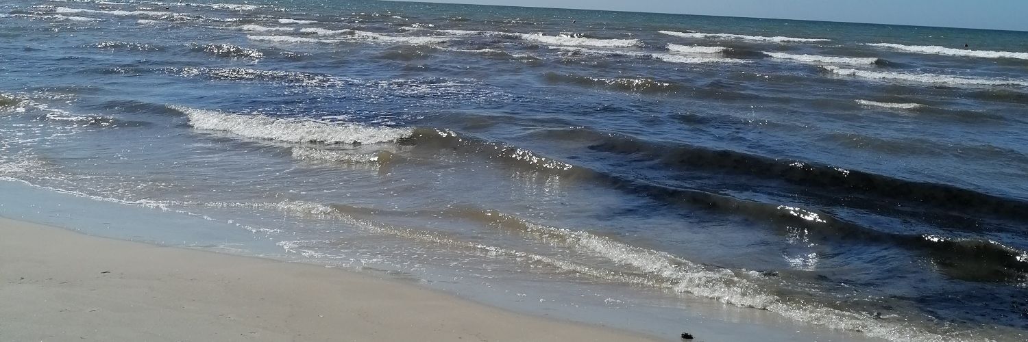 nenziii's profile banner image
