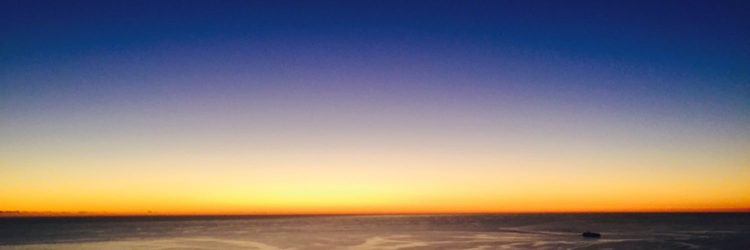 Mahomed Raees banner