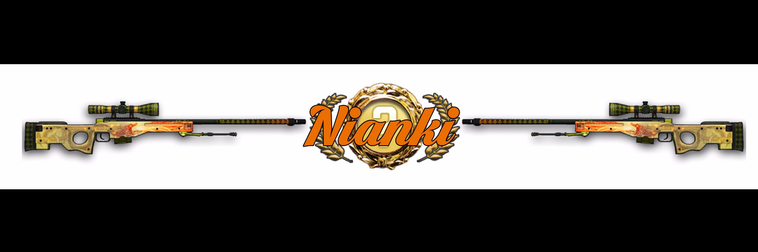 NiankiCSGO's profile banner image