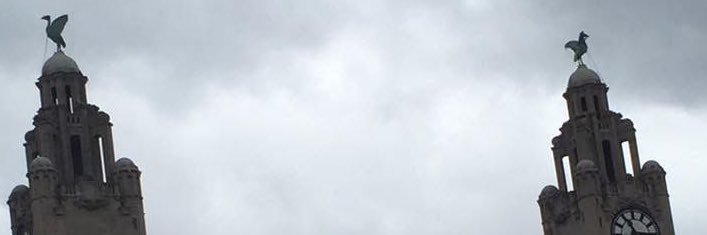 Raccoon Ron (GT)🏴󠁧󠁢󠁷󠁬󠁳󠁿 banner