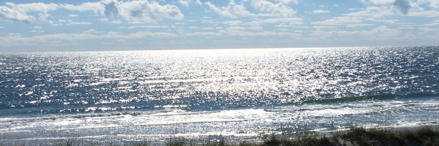 just_me563's profile banner image
