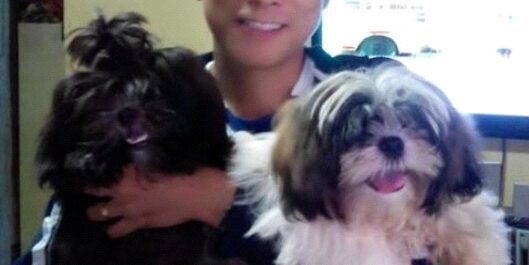 Jaypee_Pimentel's profile banner image