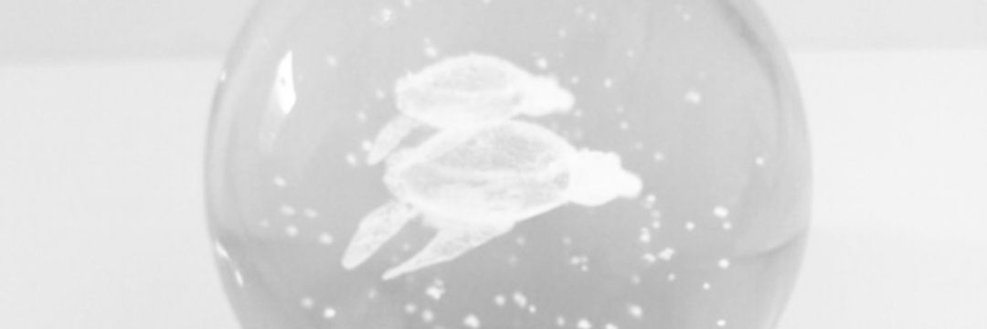 TolgaPakgun's profile banner image