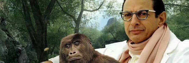 Sseemoe's profile banner image