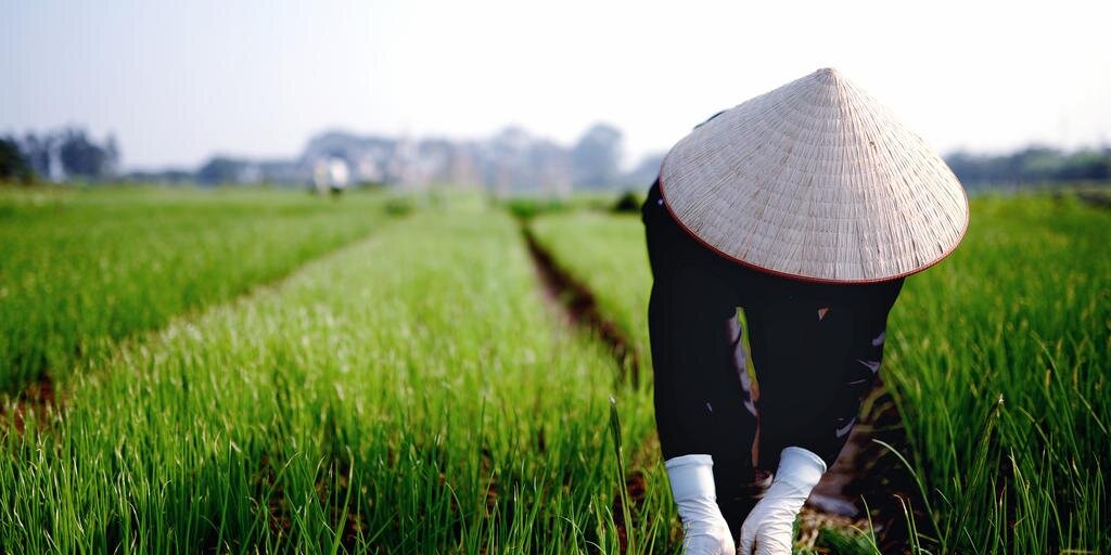 ForumVietnam's profile banner image