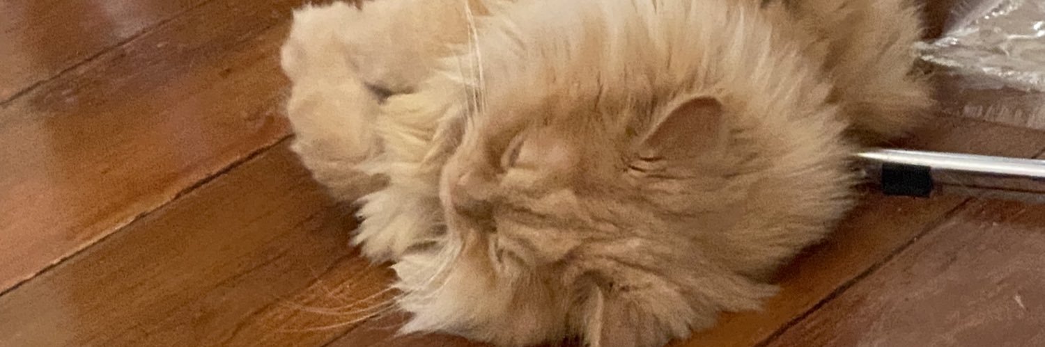 snooperj's profile banner image