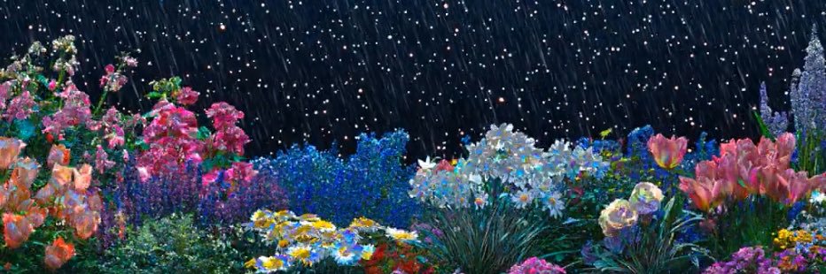 ✨Ivy✨🥷🏼 banner