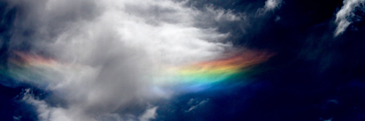 Saachi Bhalla banner