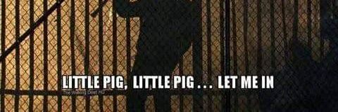 JavierLara8's profile banner image