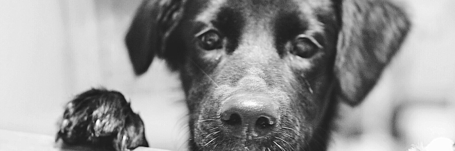 e_smith92's profile banner image