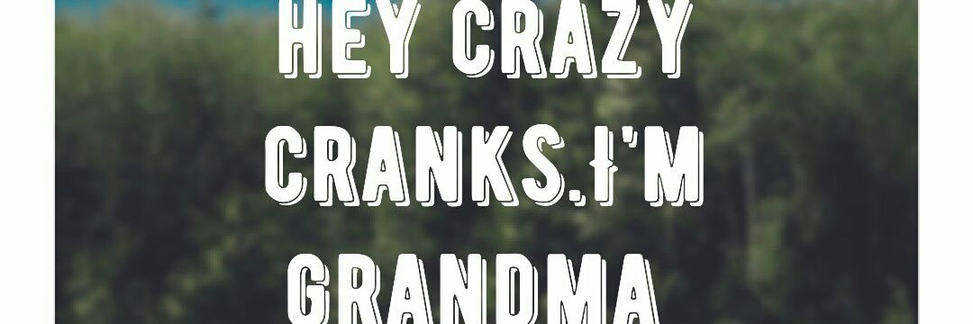 mandybug1313's profile banner image