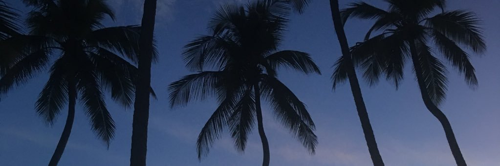 breemaker's profile banner image