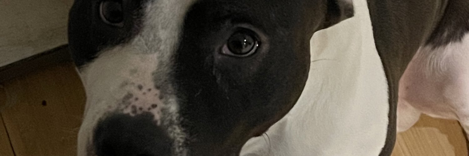 Stay_Successful's profile banner image