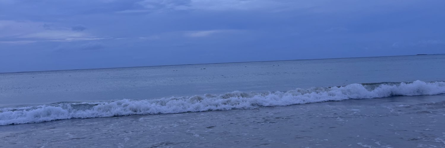 corinadanielaa's profile banner image