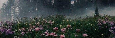 mrLenTa's profile banner image