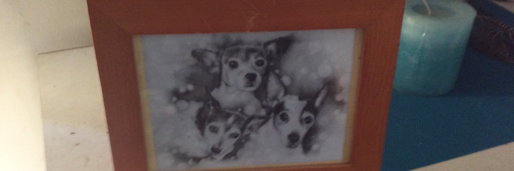 elleeoop's profile banner image