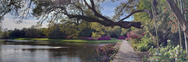 Leahmo34 Profile Banner