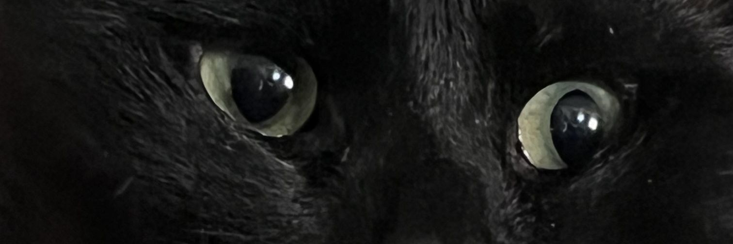 BenjaminRonaldA's profile banner image