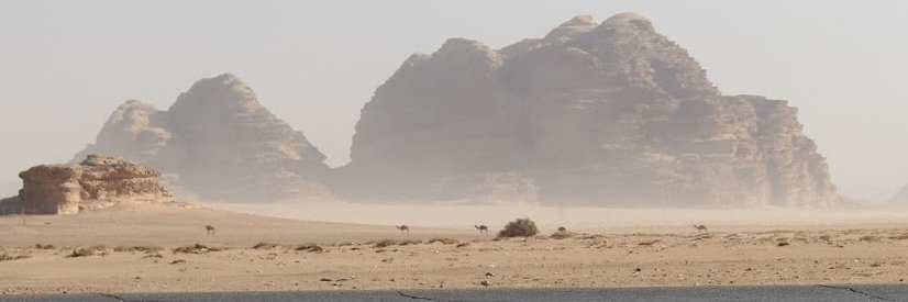 Marc Weisskopf banner