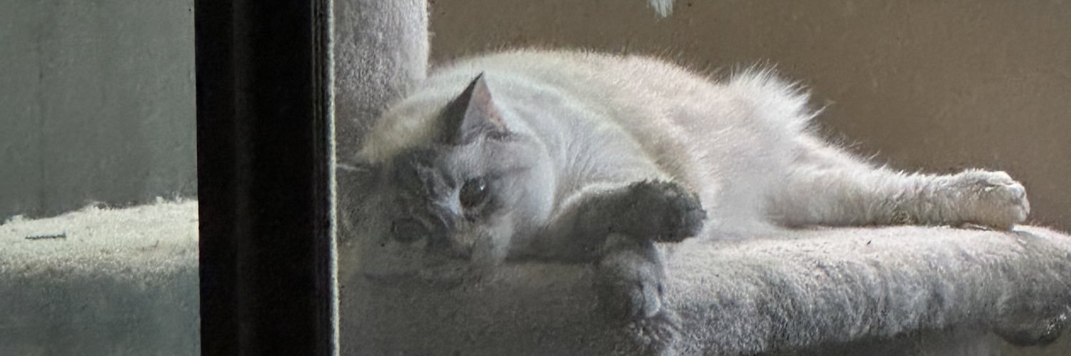 Fritomnky's profile banner image